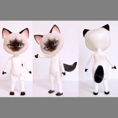 pipos siamese pang cat