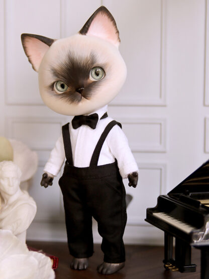 pipos siamese pang cat