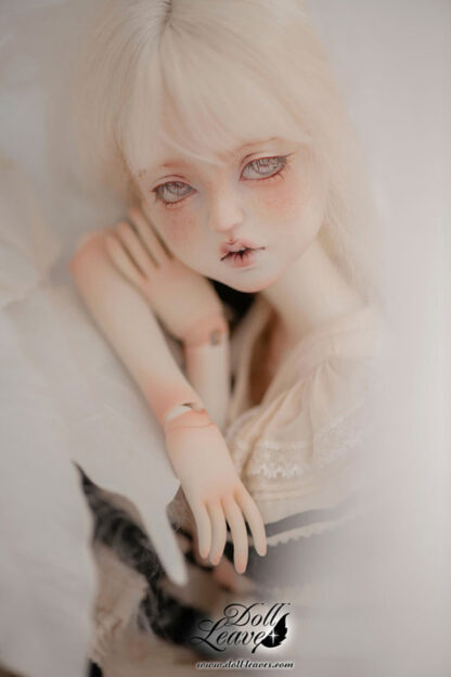 doll leaves msd una