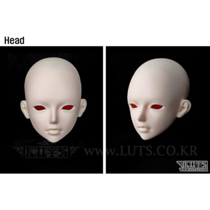 luts senior delf65 shell