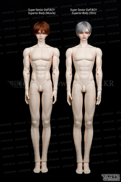 luts super senior delf body