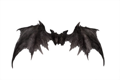fairyland feeple demon wings