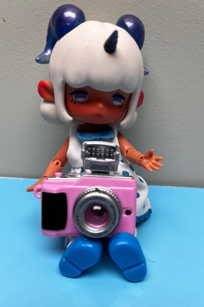 cheesin camera