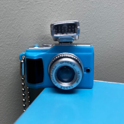 cheesin camera