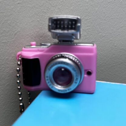 cheesin camera