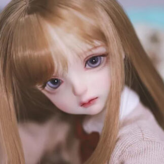 dollzone msd ray school edition