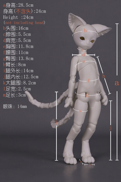 dream valley cat body yosd b6-13 b6-14