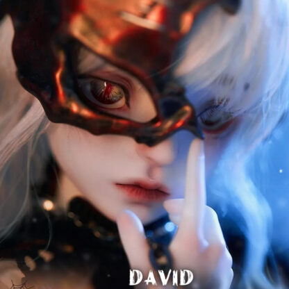 doll zone msd david