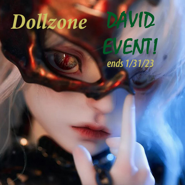 doll zone msd david