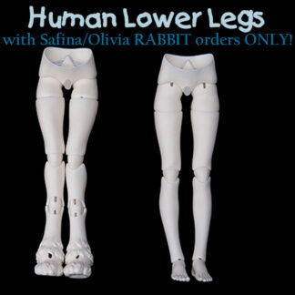 dream valley human lower legs