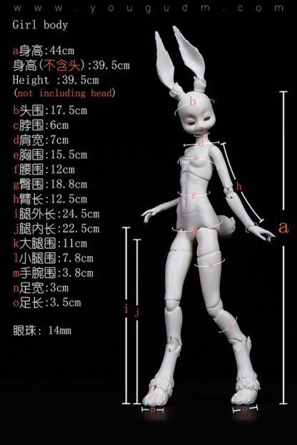 dream valley rabbit body