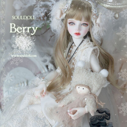 soul doll msd kid berry