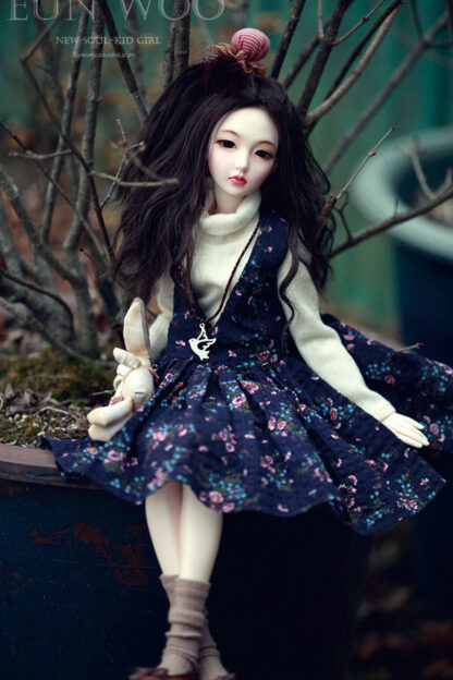 soul doll msd kid eun woo