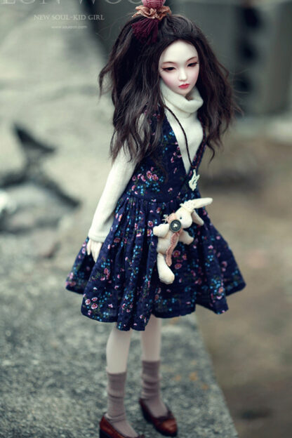 soul doll msd kid eun woo