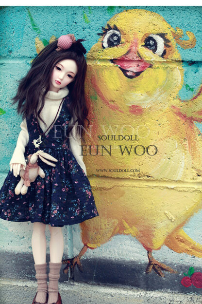 soul doll msd kid eun woo
