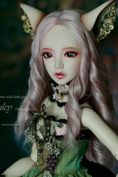 soul doll msd kid finley
