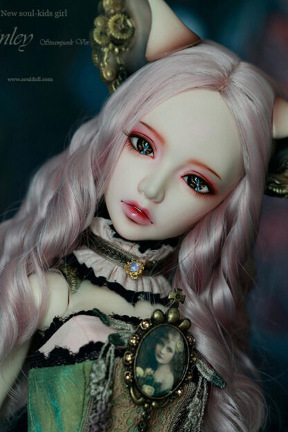 soul doll msd kid finley