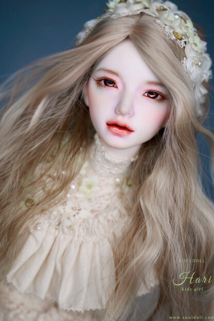 soul doll msd kid hari