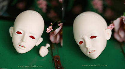soul doll msd kid young won
