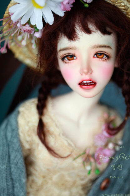 soul doll msd kid young won