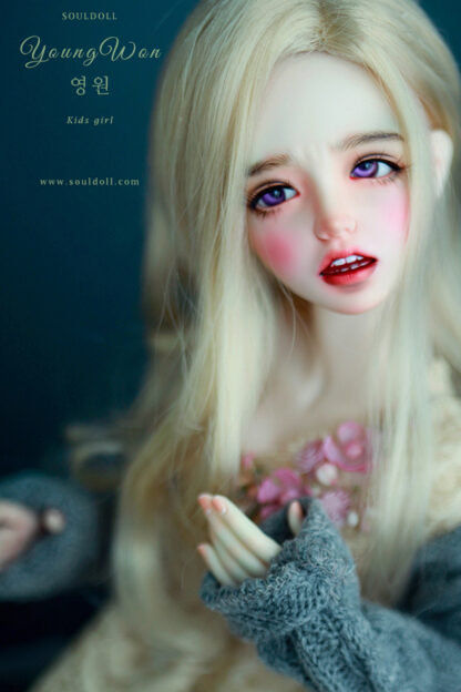 soul doll msd kid young won
