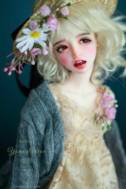 soul doll msd kid young won