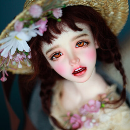 soul doll msd kid young won