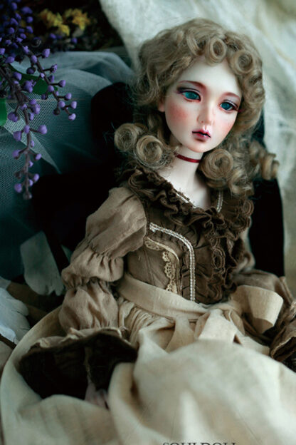soul doll msd kid eun woo