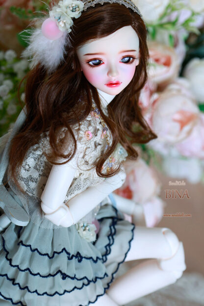 soul doll msd kid bina
