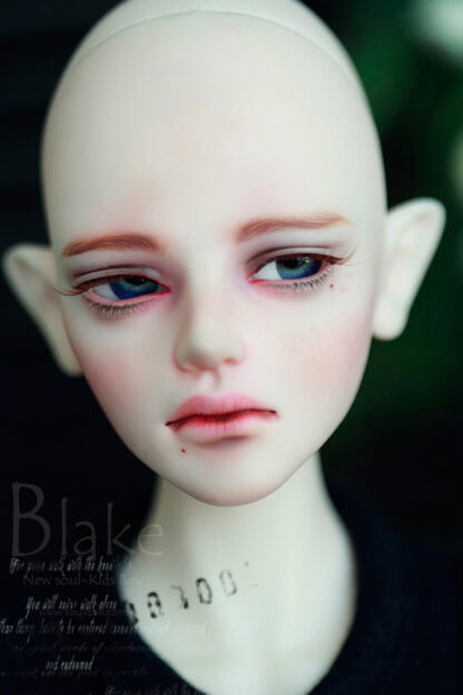 soul doll msd kid blake a