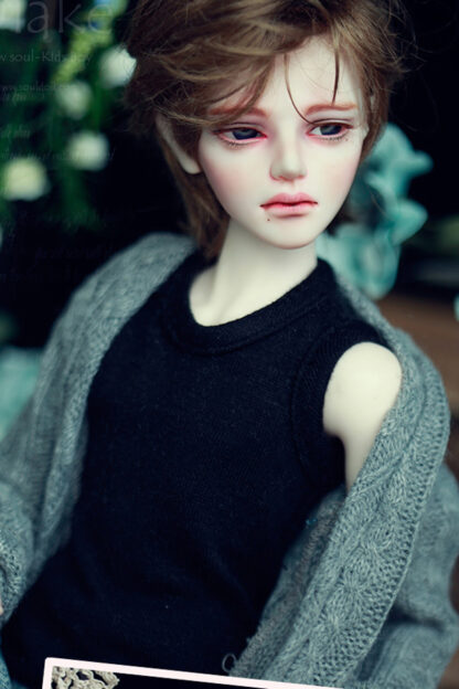 soul doll msd kid blake a