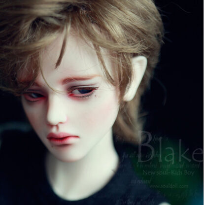 soul doll msd kid blake a