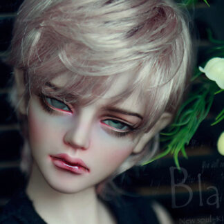 soul doll msd kid blake b