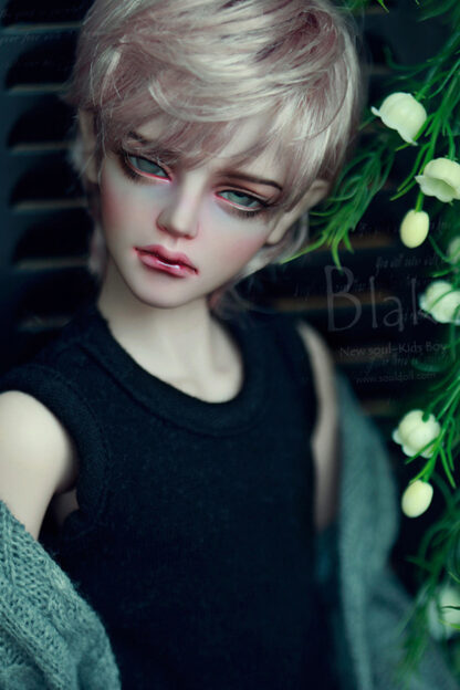 soul doll msd kid blake b