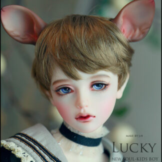 soul doll msd kid lucky