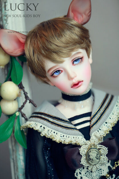 soul doll msd kid lucky