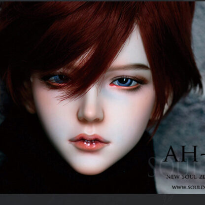 soul doll zenith Ah-In