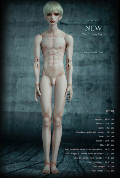 soul doll zenith boy body