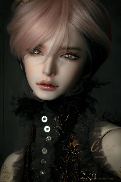 soul doll zenith caleb