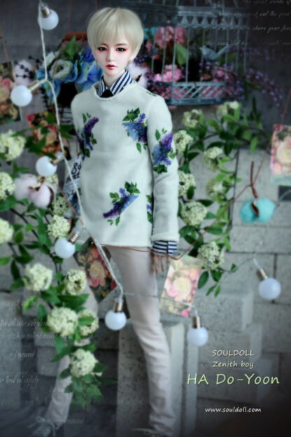 soul doll zenith ha do-yoon