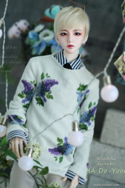 soul doll zenith ha do-yoon