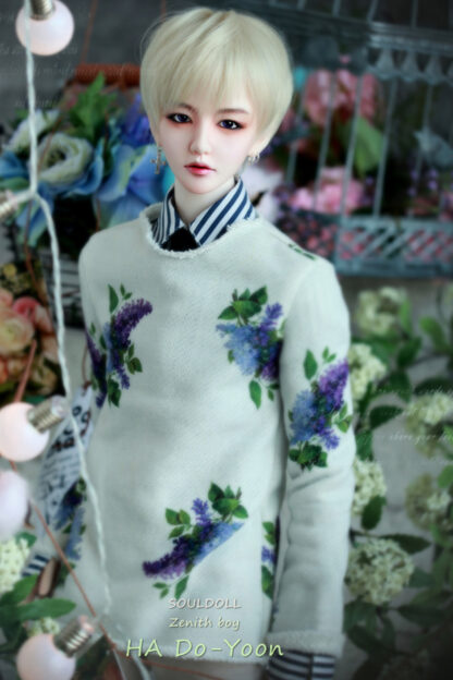 soul doll zenith ha do-yoon
