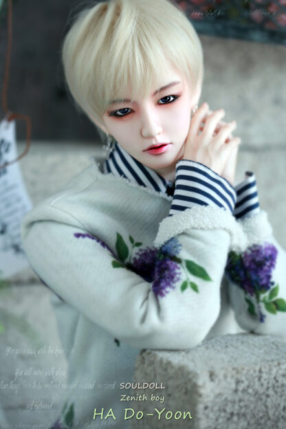 soul doll zenith ha do-yoon