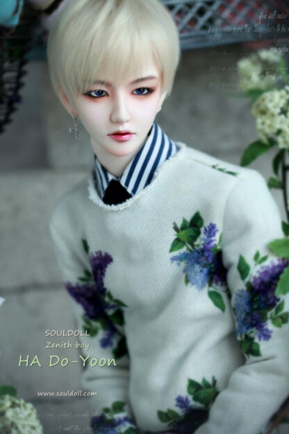 soul doll zenith ha do-yoon