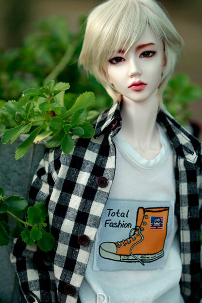 soul doll zenith phoenix