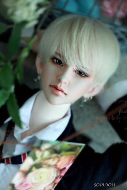soul doll zenith sae nu