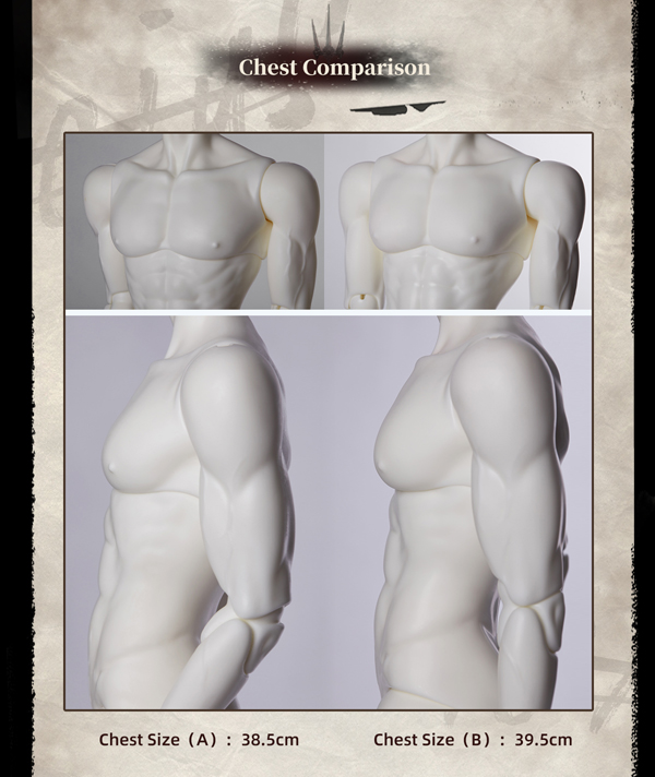 male body comparison chart