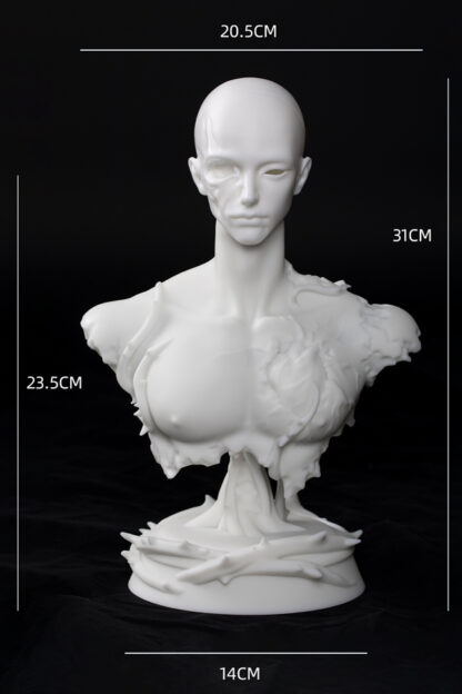 doll zone sd chest form