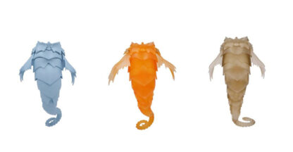 fairyland fairyline seahorse tail