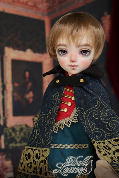 doll leaves msd dana
